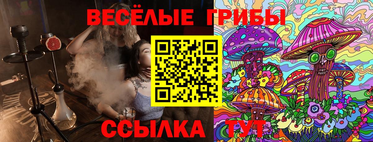 Галлюциногенные грибы ЛСД  хочу наркоту  Галлюциногенные грибы ЛСД  Можга  Вход с VPN 