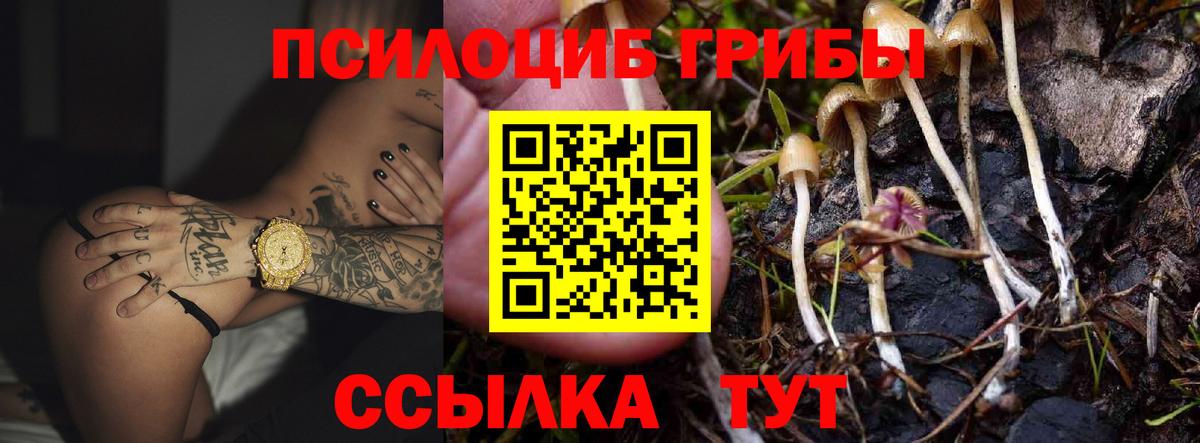 Можга  Мефедрон   Кокаин  Купить наркотик  Лсд 25  Мефедрон  ГАШ  Вход с VPN  Бошки Шишки 