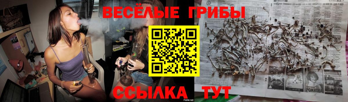 Галлюциногенные грибы ЛСД Можга
